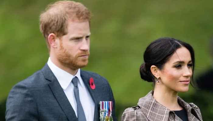 Prince Harry, Meghan Markle receive brutal nickname from UK friends