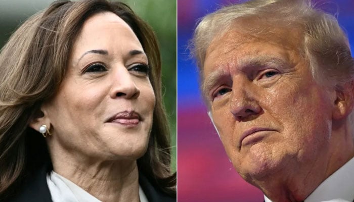 US Vice President and Democratic presidential candidate Kamala Harris (left) and former president and Republican presidential candidate Donald Trump. — AFP/Files