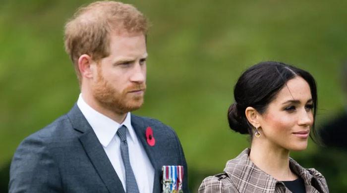 Prince Harry, Meghan Markle receive brutal nickname from UK friends