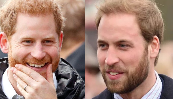 Harry alleged that William instructed him to shave his beard for his 2018 wedding to Meghan Markle