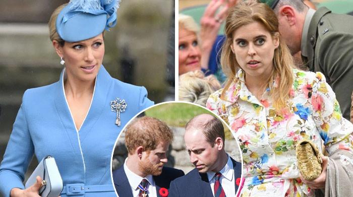 Zara Tindall, Princess Beatrice jump in to protect William, Harry