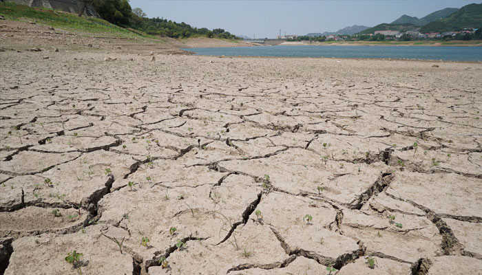 Cracks run through the bed of Jinxiuchuan reservoir amid an orange alert for a heatwave in the drought-hit region, in Jinan, Shandong province, China, June 19. — Reuters