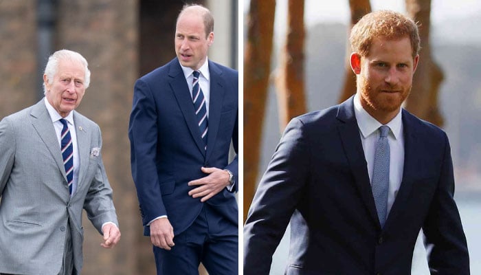 King Charles, Prince William decide to address Prince Harry reunion