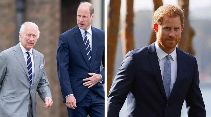 King Charles, Prince William decide to address Prince Harry reunion