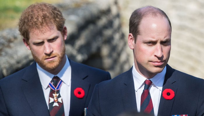 Prince Harry hurt by Prince William's reply to message: 'Palace involved'