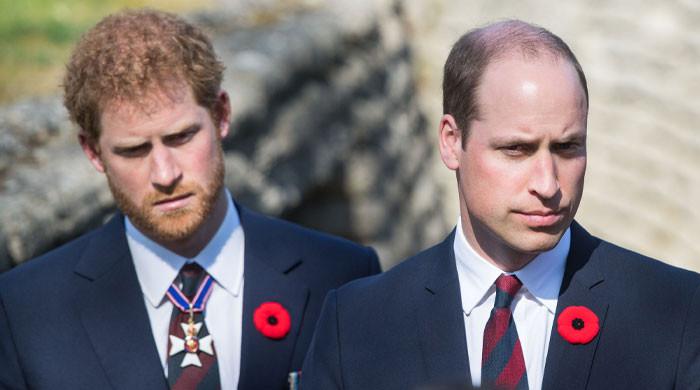 Prince Harry hurt by Prince William's reply to message: 'Palace involved'