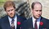 Prince Harry hurt by Prince William's reply to message: 'Palace involved'