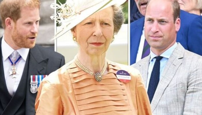 Princess Anne said younger royals may need to go back to basics