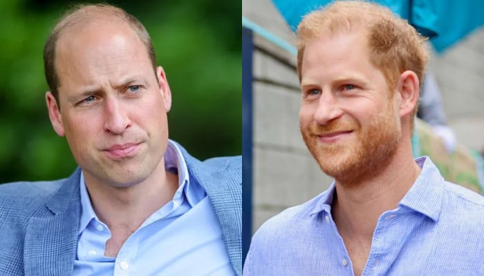 Prince William furious as Prince Harry presented with major honour