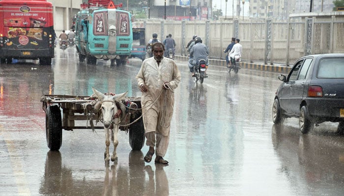 A donkey cart owner pulls the cart on the road during rain in Karachi on August 2, 2024. — Online