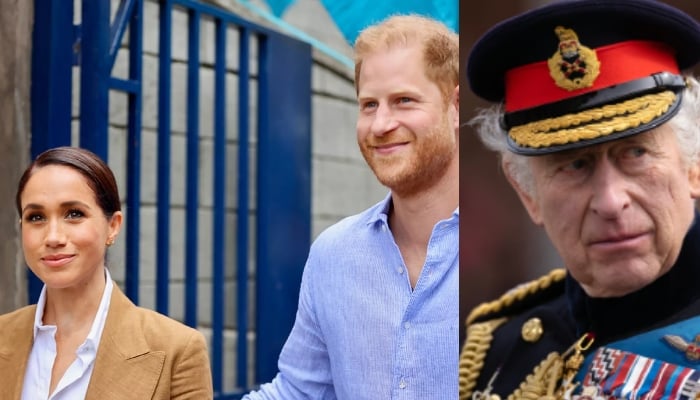 Prince Harry established the Invictus Games during his time as a working royal