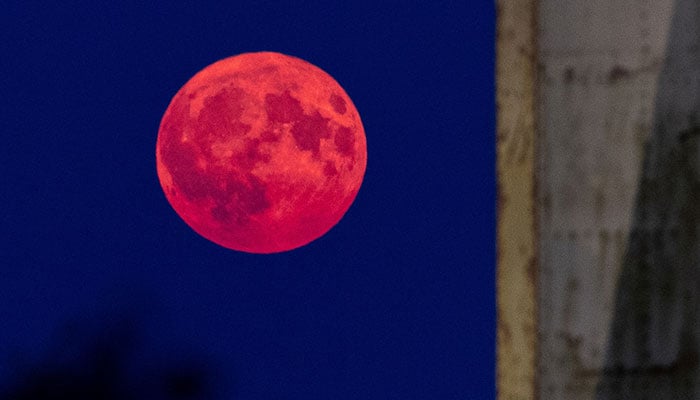 A supermoon, known as the Blue Moon and Sturgeon Moon rises in Dortmund, Germany, August 19, 2024. — Reuters