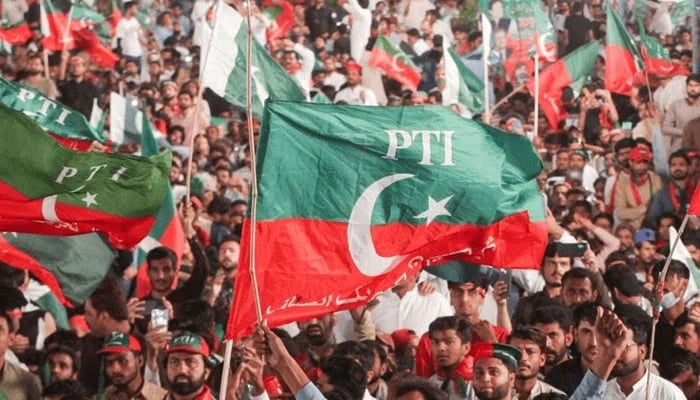 A crowd of PTI supporters wave the partys flag. — PTI/file