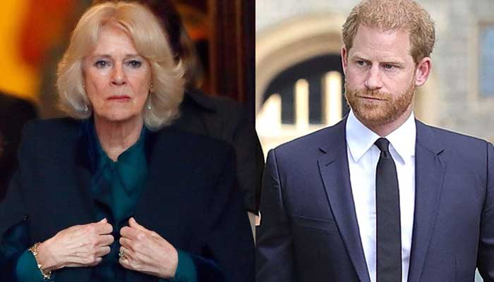 Queen Camilla sends strong message to Prince Harry: respect