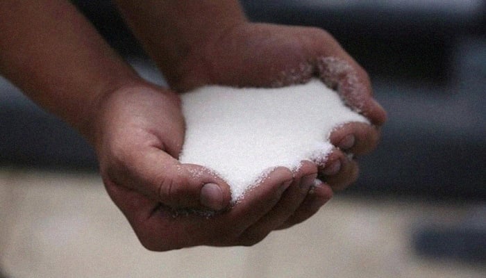 A worker shows sugar after the processing of sugarcane in a sugar mill, January 25, 2019. — Reuters