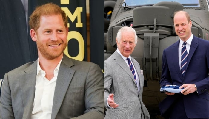 Prince Harry sends message of peace to King Charles, Prince William