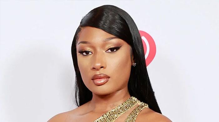 MTV VMAs 2024 host Megan Thee Stallion sparks debate among fans