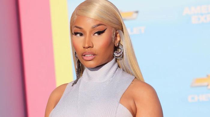 Nicki Minaj sued by super-fan in defamation lawsuit