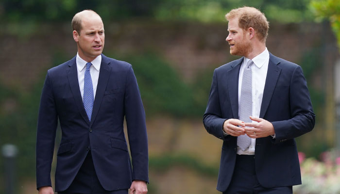 Prince Harry schemes new move to face estranged brother Prince William