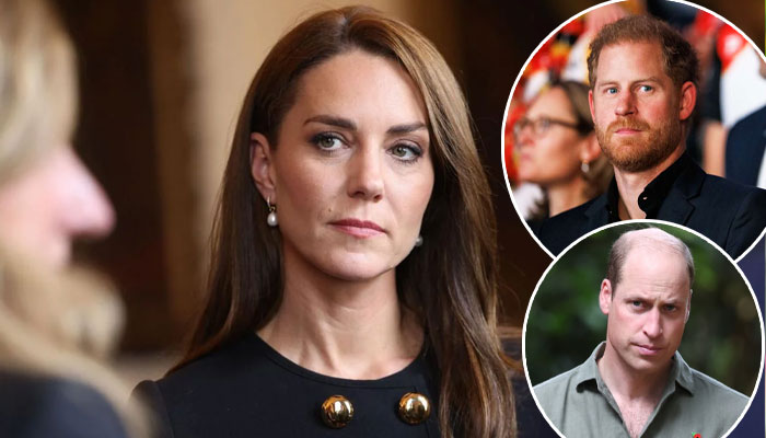 Kate Middleton ‘stressed’ as Prince Harry announces risky new plans