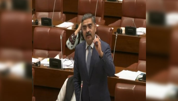 Independent Senator Anwaar-ul-Haq Kakar speaks during the Senate session in Islamabad on August 27, 2024. — Screengrab via YouTube/@SenateofPakistanOfficial