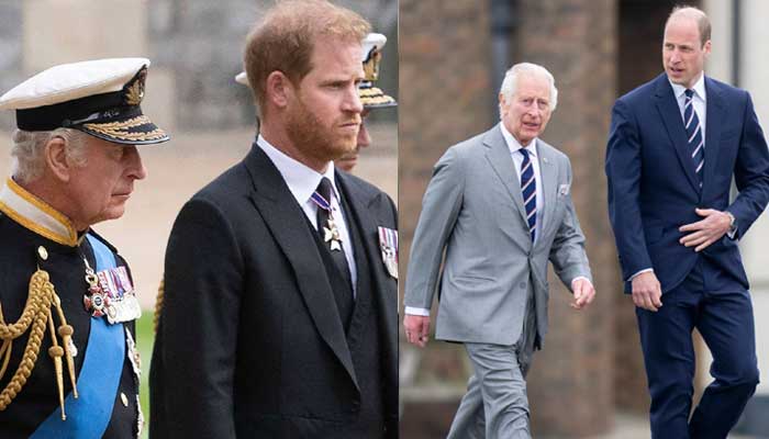 Prince Harry will always be the cherished son of King Charles