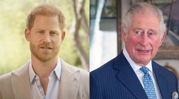 Le prince Harry publie une déclaration après avoir offert un rameau d’olivier au roi Charles