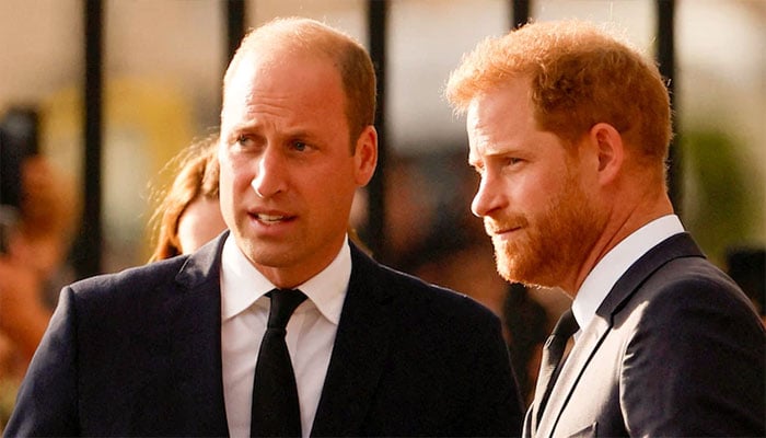 Royal brothers arrived quietly at Lord Fellowes’ service.