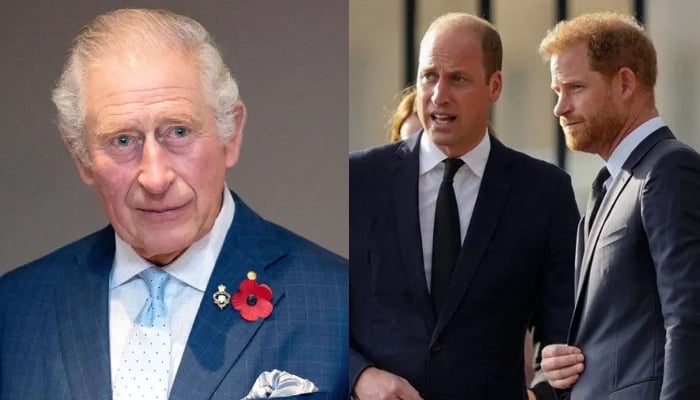 King Charles issues first statement after William, Harry’s UK reunion