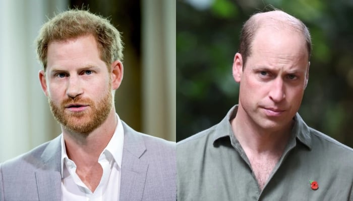 Prince Harry breaks silence after secret meeting with William