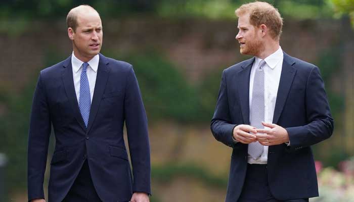 Prince Harry, Prince Williams secret reunions details leaked