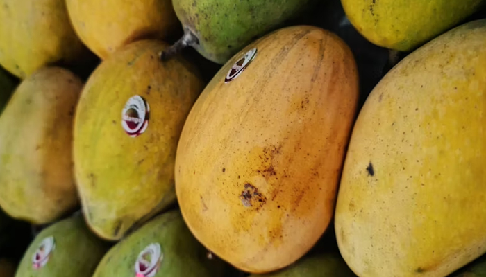 A representational image of mangoes. — Unsplash