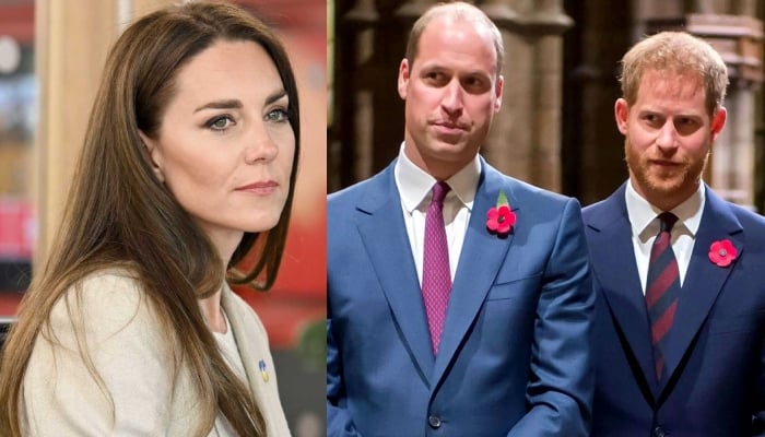 Kate Middleton makes heartfelt plea to William, Harry amid UK reunion