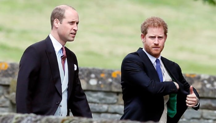 Prince William, Harry reunite on pleasant note, Vicar confirms