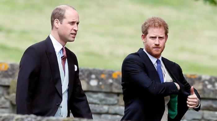 Prince William, Harry reunite on 'pleasant' note, Vicar confirms