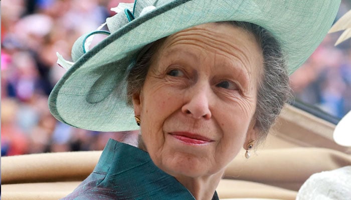 Princess Anne gets unique new title amid her heavy workload