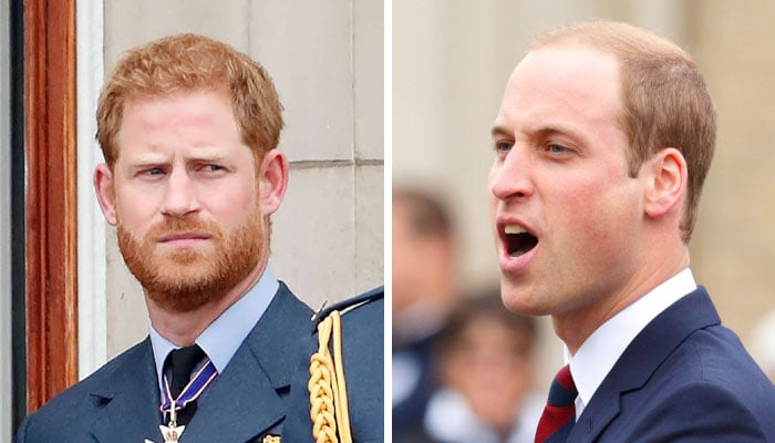 Prince William ready to crush Prince Harry’s hopes in new plans