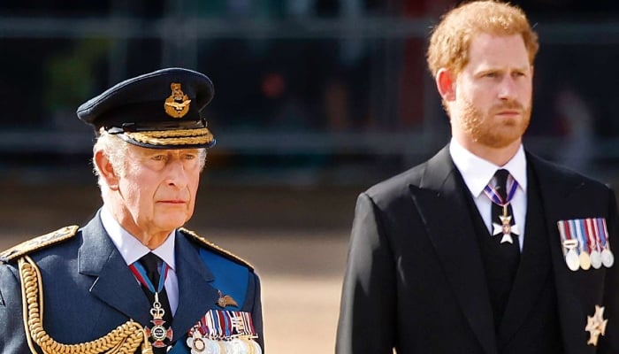 Prince Harry takes crucial step to mend peace with King Charles