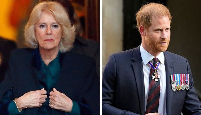 Queen Camilla sends Prince Harry peace message despite ‘outrage’