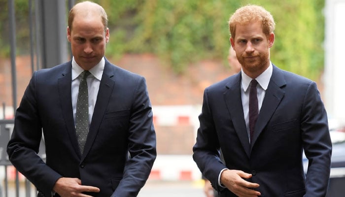 Family hatches plan to finally end Prince William, Prince Harry feud