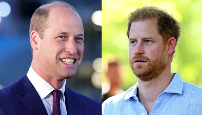 Prince William receives big honour after Prince Harry cancels UK return