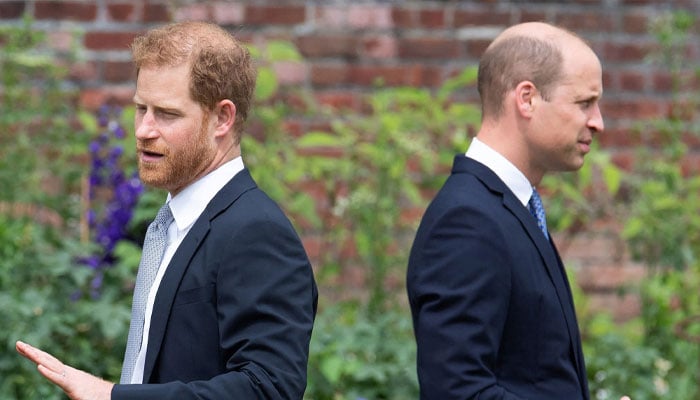 Prince Harry ‘unnecessary cruel’ remark blocks Prince William reunion in UK