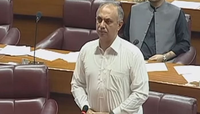 Leader of the Opposition Omar Ayub Khan speaks on the floor of the National Assembly on September 4, 2024. — Screengrab via YouTube/National Assembly Of Pakistan