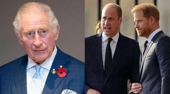 Prince William, Harry issued heartbreaking plea by King Charles