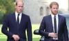 Prince Harry 'jealous' of William's new decision amid brother's growing rift