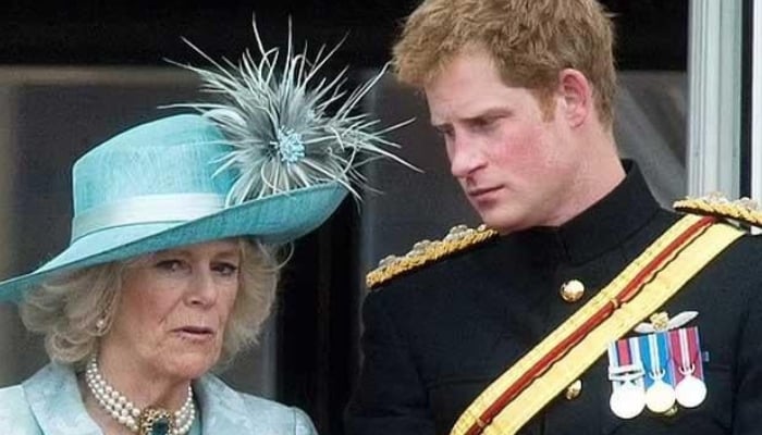 Spare published in January 2023, contained a series of shocking claims involving King Charles and Queen Camilla