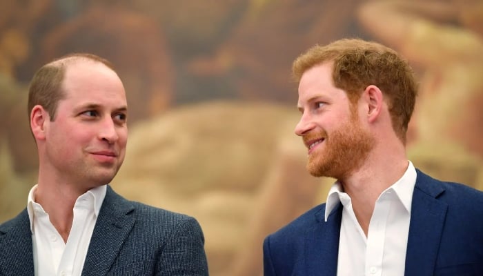 There was a moment when Harry ands William came together in a rare show of solidarity