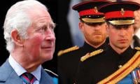 King Charles Rejects Prince Harry's Big Offer: 'There's No Half In, Half Out'