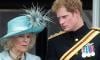 Prince Harry’s bombshell move 'extremely hurt' Queen Camilla