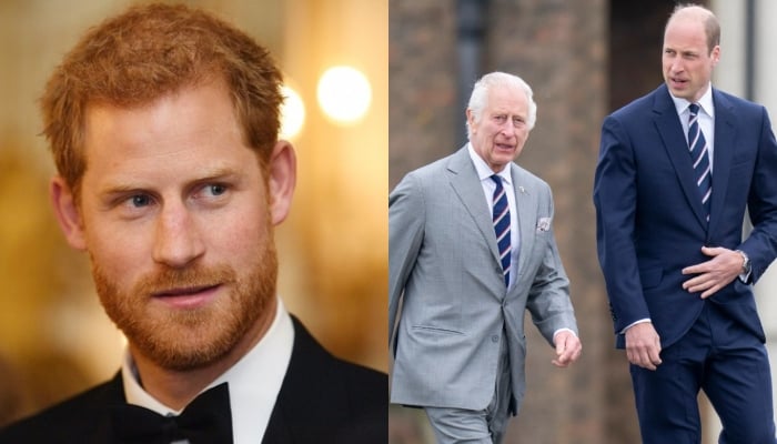 Prince Harry takes big step to please King Charles, Prince William